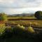 CASETTA MIRAVIGNA cozy flat with garden in Franciacorta & Iseo Lake