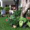 Little Paradise Tourist Guest House and Holiday Home - Anuradhapura