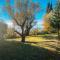 Les Lodges de Saint Cassien 2