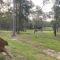 Rural Self Contained 3 bedroom Cottage on acreage, - Landsborough