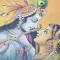 Raj Mandir Boutique Home Stay