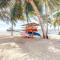 Saponaria 21-22 at Caribe Island Gold Standard Certified