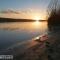 Danube fairy - Futog