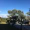 Garden Studios Thassos Town