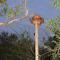 Kruger's Keep - Luxury Couples Haven - Marloth Park