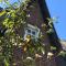 Eidumhaus, freistehendes Reetdachhaus mit Garten in Strandnähe