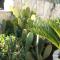 Apartment in Vinišce with Balcony, Air condition, WIFI, Washing machine (4753-3) - 维尼斯切