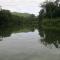 Periyar Woods - Thekkady