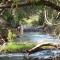 Blyde River Cabins