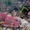 Ocean View House - Atami