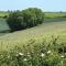 Little Maltings - Milton Abbas