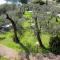 Apartment Rizzardi-3 by Interhome Apartment Rizzardi-3 by Interhome