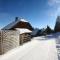 Chalet Willegger by Interhome