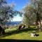 Bed & Breakfast Giardini di Corte