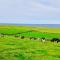 Doonbeg Holiday Cottages