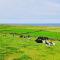 Doonbeg Holiday Cottages