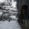 Holiday House Prodromos