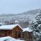Chalet Mlyn