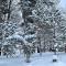 Chalet Mlyn - Myhove