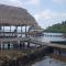 Rainforest Lodge del Rio