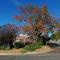 Coral Tree Guest Rooms