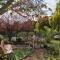 Coral Tree Guest Rooms