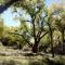 Silver River Adobe Inn Bed and Breakfast
