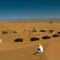 Atta Desert Camp - El Gouera