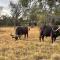 Newburg Lodge & Luxury Bush Tents, Elements Private Golf Reserve