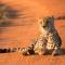 Nungubane Game Lodge