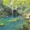 Vila Vera Borsko Jezero