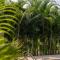 Paramount Riverfront Resort & Spa, Karjat