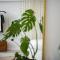 K-Houses A1