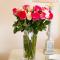 Higher Weddicott Barn Holiday Cottage - Self Catering