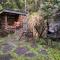 Moon Dance Cabin