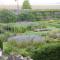 Manoir du Plessis au Bois photo 20