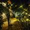 Mysa by Meraki - Entire Villa with Himalayan Views