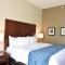 Comfort Inn & Suites - Rock Hill