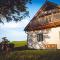 Stein im Holz
