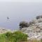 Villa SALENTO2 -doppio terrazzo panoramico vista mare mozzafiato immersa nella natura