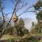 IN APPLE ESTATE KANATAL - Himalayan View Resort with Courteous Staff