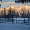 Swan Mountain View-Private Basement Suite/10 acres
