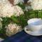 Plantation House Bed & Breakfast