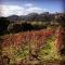 Tenuta Petra Manna
