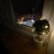 Apartman Bonaca