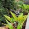 Mount Simpson 2-Beds Sleeps 4 5 mins to Beach