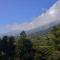 Munnar Home Stay - Munnar