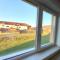 Floare de Colt Petrosani