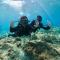 Stay Liuqiu Diving Hostel