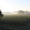 Hoeve Luitenant Halleux